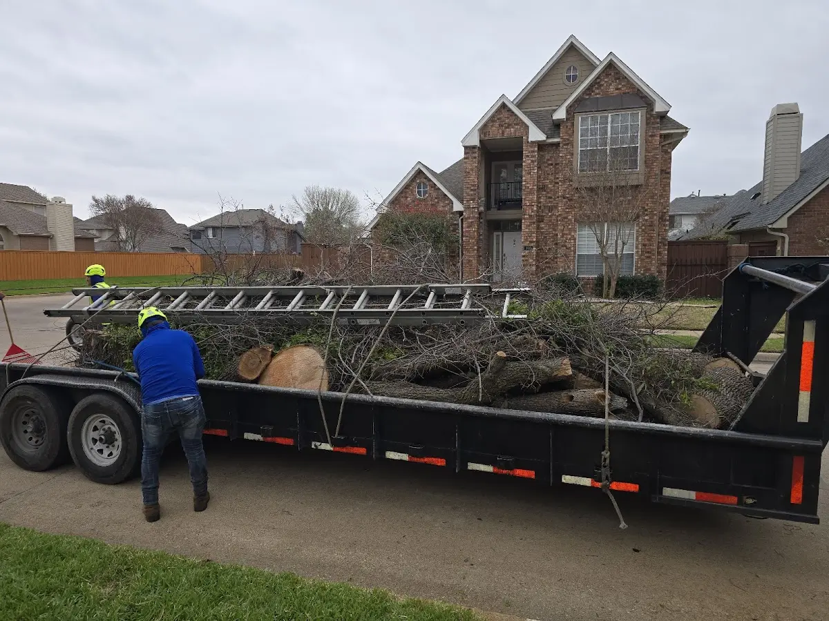 Expert Tree Fertilization with proper safety equipment in Bowdle
